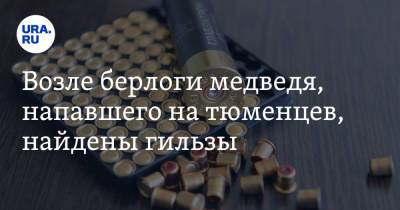 Возле берлоги медведя, напавшего на тюменцев, найдены гильзы. Ранее сообщалось, что он был зарезан - ura.news - Тюменская обл.