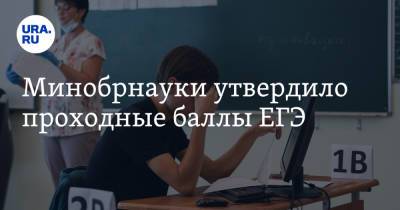 Минобрнауки утвердило проходные баллы ЕГЭ - ura.news