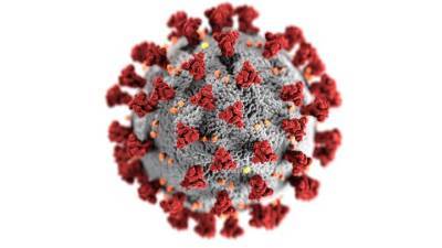 В России обнаружены более 36 тысяч новых случаев коронавируса - vm.ru - Москва - Россия