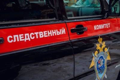 Александр Бастрыкин - Бастрыкин взял на контроль дело об избиении подростка в новосибирской «Пятёрочке» - sib.fm - Россия - Новосибирск - район Дзержинский, Новосибирск