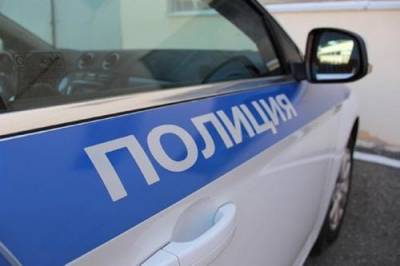 В Санкт-Петербурге ведут проверку после угрозы открыть стрельбу в гимназии - argumenti.ru - Россия - Санкт-Петербург - Петербург