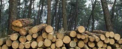Японская компания хочет стать совладельцем лесного холдинга на Дальнем Востоке - runews24.ru - Япония