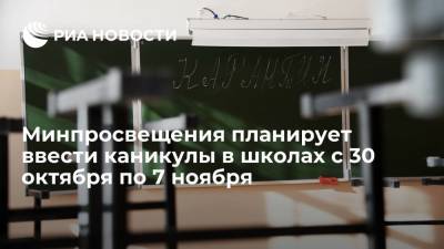 Минпросвещения планирует ввести дополнительные школьные каникулы с 30 октября по 7 ноября - ria.ru - Москва - Россия