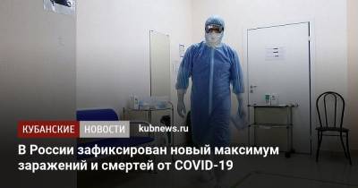 В России зафиксирован новый максимум заражений и смертей от COVID-19 - kubnews.ru - Москва - Россия - Санкт-Петербург - Московская обл.