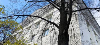Эмилия Слабунова - Парламент принял изменения в бюджете Карелии, несмотря на критику из-за расходов на чиновников - stolicaonego.ru - республика Карелия