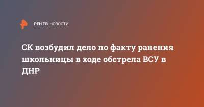 Светлана Петренко - СК возбудил дело по факту ранения школьницы в ходе обстрела ВСУ в ДНР - ren.tv - Россия - Украина - ДНР - Донецк - район Куйбышевский, Донецк - Обстрелы