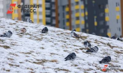 Свердловчанам пообещали «очень сильный снег» - fedpress.ru - Екатеринбург - Свердловская обл.