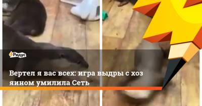 Вертел явас всех: игра выдры схозяином умилила Сеть - ridus.ru