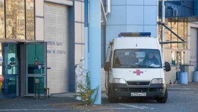 Владимир Путин - Татьяна Голикова - Число новых случаев COVID в Петербурге выросло на 1 тыс. всего за неделю - dp.ru - Россия - Санкт-Петербург