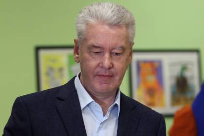 Сергей Собянин - Каникулы в школах Москвы начнутся 28 октября - mk.ru - Москва