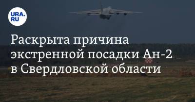 Раскрыта причина экстренной посадки Ан-2 в Свердловской области - ura.news - Свердловская обл. - Уральск - Алапаевск