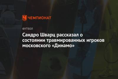 Сандро Шварц - Сандро Шварц рассказал о состоянии травмированных игроков московского «Динамо» - championat.com - Москва