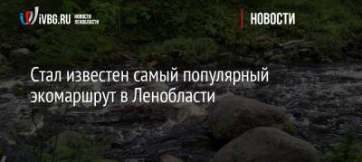 Стал известен самый популярный экомаршрут в Ленобласти - ivbg.ru - Украина - Ленинградская обл.