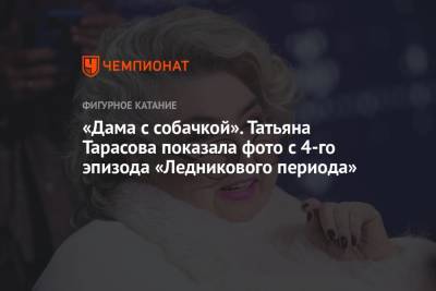 Татьяна Тарасова - Максим Траньков - Татьяна Волосожар - «Дама с собачкой». Татьяна Тарасова показала фото с 4-го эпизода «Ледникового периода» - championat.com