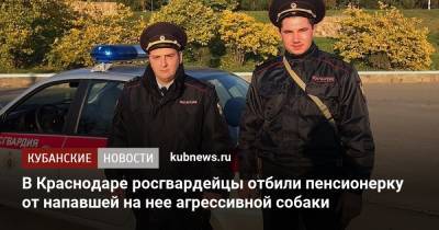 В Краснодаре росгвардейцы отбили пенсионерку от напавшей на нее агрессивной собаки - kubnews.ru - Краснодарский край - Краснодар