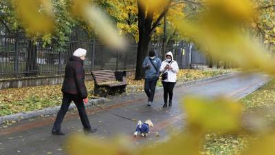 «Ситуация продолжает развиваться по худшему сценарию»: в Москве ввели нерабочие дни с 28 октября по 7 ноября - russian.rt.com - Москва - Московская обл.