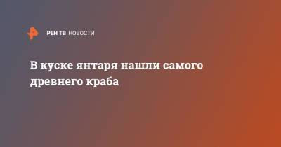 В куске янтаря нашли самого древнего краба - ren.tv - Китай - Канада - Бирма