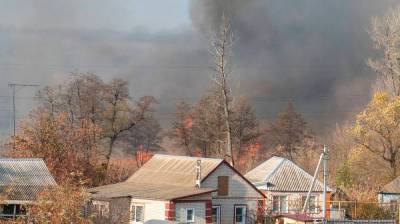В многострадальной Россоши вспыхнул луг вблизи жилых домов: появилось видео - vestivrn.ru - Воронеж