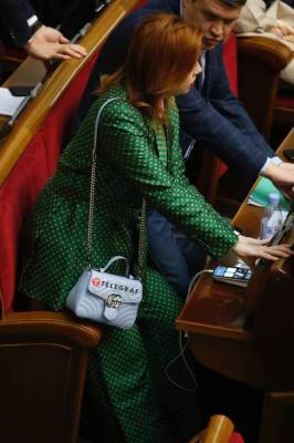 Денис Шмыгаль - Ян Доброносов - Нардеп пришла в Раду с сумкой за $2000, которую не снимала даже во время голосования - narodna-pravda.ua - Украина - Киев - Одесса
