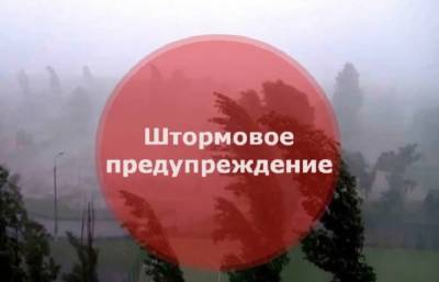 В Смоленской области объявили штормовое предупреждение на пятницу - rabochy-put.ru - Смоленск - Смоленская обл.