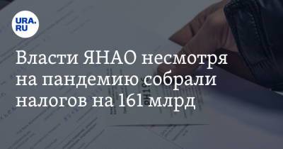 Власти ЯНАО несмотря на пандемию собрали налогов на 161 млрд. Это больше чем в прошлом году - ura.news - окр. Янао