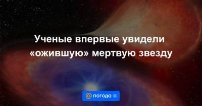 Ученые впервые увидели «ожившую» мертвую звезду - news.mail.ru - Англия