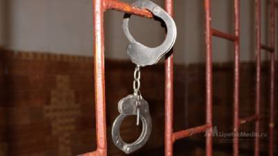 Хорватия выдала России мошенника, покушавшегося на имущество липецкой компании - lipetskmedia.ru - Россия - Хорватия - Липецкая обл.
