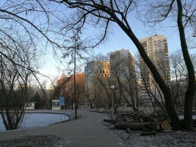 Москвичам предсказали морозы до минус шести градусов - rosbalt.ru - Москва - Россия