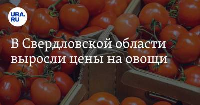 В Свердловской области выросли цены на овощи - ura.news - Свердловская обл.