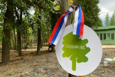 В Северной Осетии за 10 дней высадят более 20 тыс. деревьев - etokavkaz.ru - респ. Алания - район Пригородный