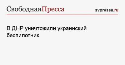 В ДНР уничтожили украинский беспилотник - svpressa.ru - Украина - Башкирия - ДНР - населенный пункт Васильевка