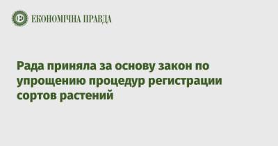 Рада приняла за основу закон по упрощению процедур регистрации сортов растений - epravda.com.ua - Украина - Аграрии
