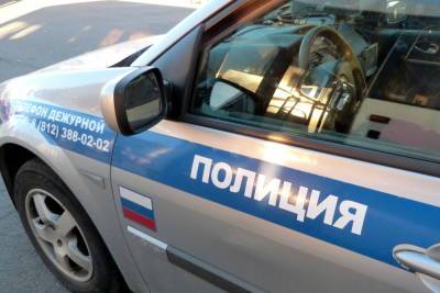 Полиция подозревает жительницу Всеволожска в поддержке терроризма - mk.ru - Ленинградская обл. - Всеволожск