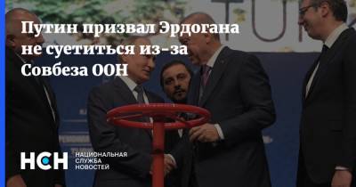 Владимир Путин - Реджеп Тайип Эрдоган - Путин призвал Эрдогана не суетиться из-за Совбеза ООН - nsn.fm - Россия - Турция