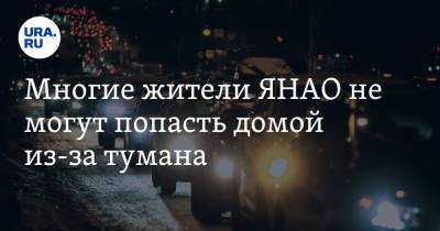 Многие жители ЯНАО не могут попасть домой из-за тумана. Видео - ura.news - Салехард - окр. Янао - Лабытнанги