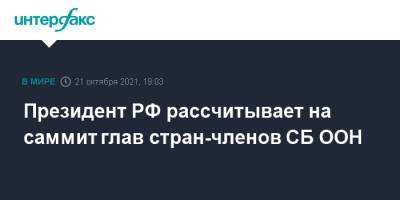 Владимир Путин - Президент РФ рассчитывает на саммит глав стран-членов СБ ООН - interfax.ru - Москва - Россия