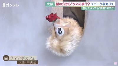 В Японии открыли кафе, где заказы выдает медвежья лапа - skuke.net - Япония