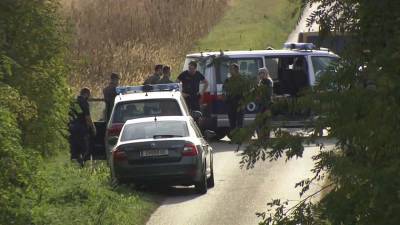 В Австрии в фургоне найдены тела мигрантов - ru.euronews.com - Австрия - Россия - Венгрия - Польша