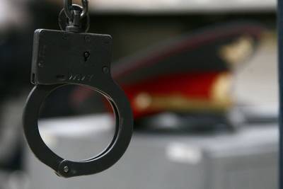 Ольга Врадий - Обвиняемых во взятке двоих полицейских и их сообщника арестовали в Подмосковье - vm.ru - Москва - Россия - Московская обл.