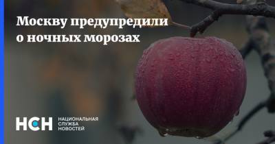 Мороз - Москву предупредили о ночных морозах - nsn.fm - Москва