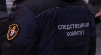 Пойманного летом педофила осудят за растление 5-летней девочки - pg21.ru - респ. Чувашия - Чебоксары