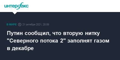 Владимир Путин - Путин сообщил, что вторую нитку "Северного потока 2" заполнят газом в декабре - interfax.ru - Москва - Россия - Германия - Европа