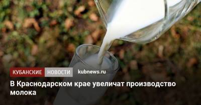 Андрей Коробка - В Краснодарском крае увеличат производство молока - kubnews.ru - Краснодарский край
