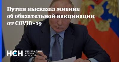 Владимир Путин - Тимур Пестерев - Путин высказал мнение об обязательной вакцинации от COVID-19 - nsn.fm - Россия