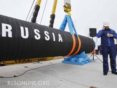 Не прокатило: Польша нанесла первый удар по России и тут же обгадилась - rusonline.org - Россия - Украина - Польша