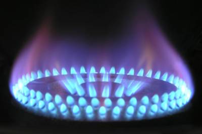 Жан Кастекс - Франция заморозила цены на газ до конца 2022 года - aif.ru - Франция