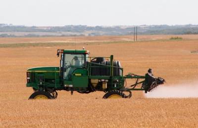 Зерновые досушивают в поле. Озвучены последствия - agroportal.ua - Украина