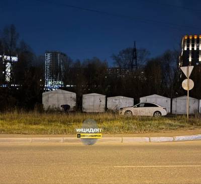В Новосибирске прохожие спасли женщину от избиения сожителя - sib.fm - Новосибирск - район Заельцовский, Новосибирск