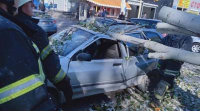 Из-за непогоды в Одессе дерево упало на автомобили, есть пострадавшие - ru.slovoidilo.ua - Украина - Одесса