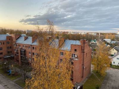 Смолян предупреждают о сильных порывах ветра - rabochy-put.ru - Россия - Смоленская обл.